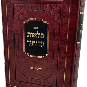 פלאות עדותיך - הלכות גיטין