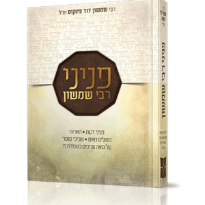 פניני-רבי-שמשון-הדמיה