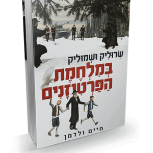 פרטיזנים-הדמיה