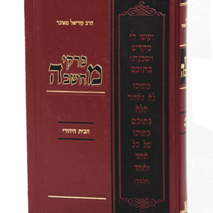 פרקי-ב-הדמיה