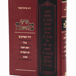 פרקי-חדש-הדמיה