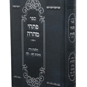 פתחי-טהרה-copy