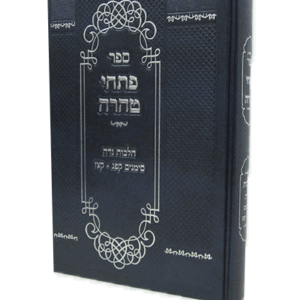 פתחי-טהרה-הדמיה