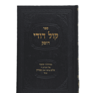 קול-דודי-הדמיה