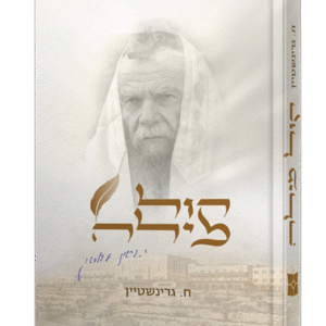 קול-מילה-הדמיה