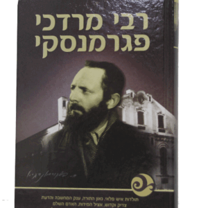 רבי-מרדכי-הדמיה