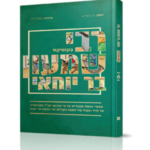 רבי-שמעון-הדמיה