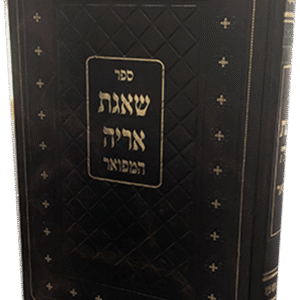 שאגת-אריה-הדמיה