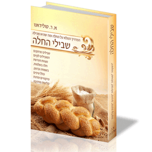 שבילי-החלה-הדמיה