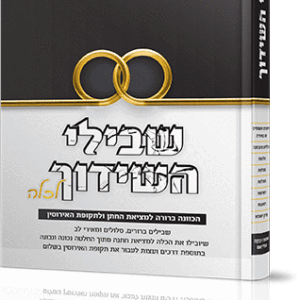 שבילי-השידוך-הדמיה