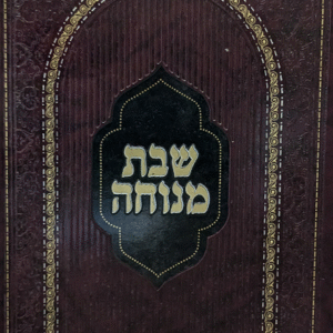 שבת מנוחה - הלכות שבת בדרך שו"ת