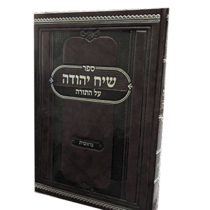 שיח-יהודה-הדמיה