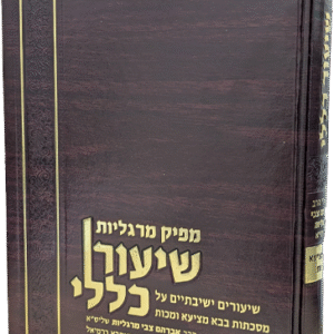 שיעור-כללי-מכות