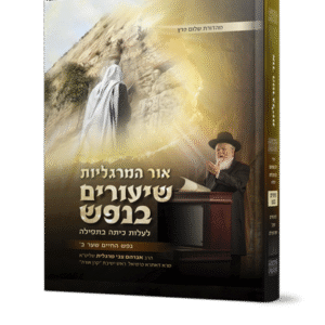 שיעורים-בנפש