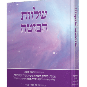 שלוות-הבוטח-הדמיה