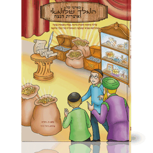 שלומאי-6-הדמיה