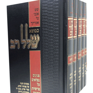 שלל-רב-הדמיה