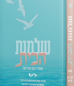 שלמות-הבית-הדמיה-768x1024-copy