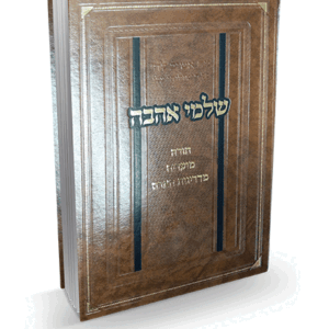 שלמי-אהבה-הדמיה