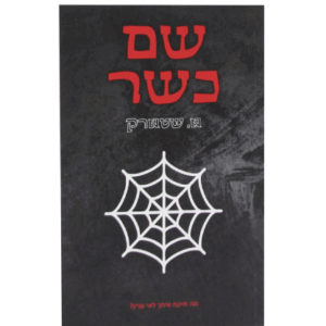 שם-כשר-הדמיה-1