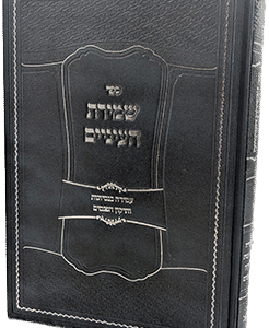 שמירת עיניים