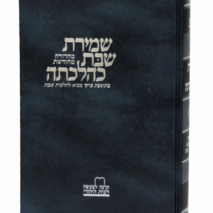 שמירת-שבת-א-הדמיה-1