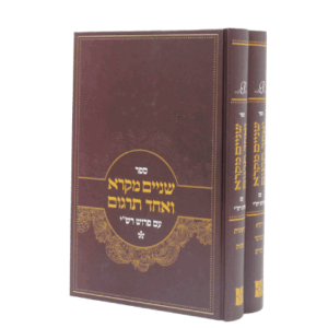 שניים-חדש-הדמיה-1