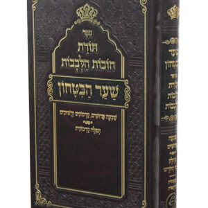 שער-הבטחון-copy