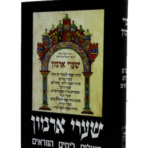 שערי-ארמון-הדמיה