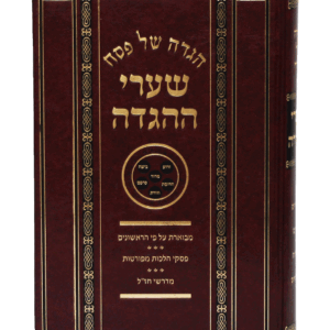 שערי-הגדה-הדמיה