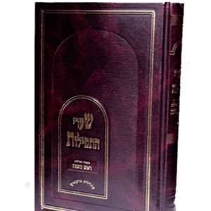 שערי-התפילות-הדמיה