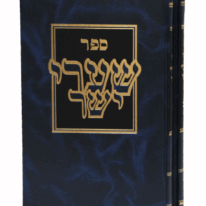 שערי-יושר-הדמיה