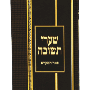 שערי-יפה-הדמיה-2