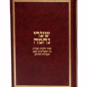 שערי-נחמה-הדמיה-1