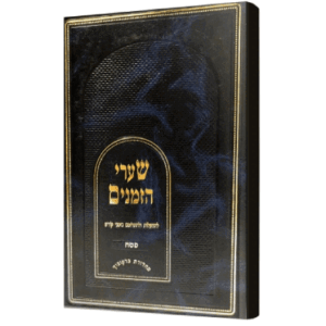 שערי-פסח-הדמיה-1