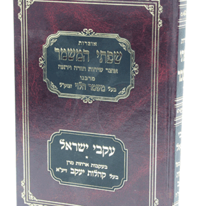 שפתי-המשמר-הדמיה