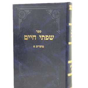 שפתי-חיים-א-הדמיה