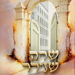 שרה שנירר - סיפור חייה ופועלה של היחידה בדורות