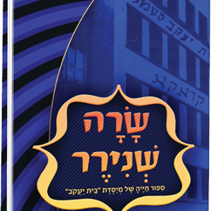 שרה-שנירר-הדמיה