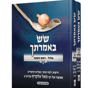 שש-באמרתך-חדש-הדמיה-scaled