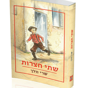 שתי-חצרות-הדמיה