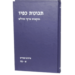 תבונות-כפיו-הדמיה-1