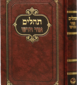 תהילים-אור-חדש