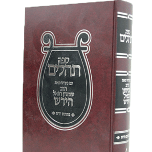 תהילים-הירש-הדמיה