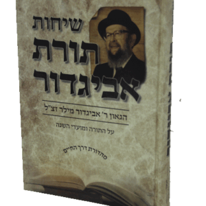 תורת-אביגדור-הדמיה