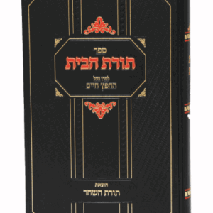 תורת-הבית-חח-הדמיה