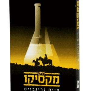 תיק-הדמיה