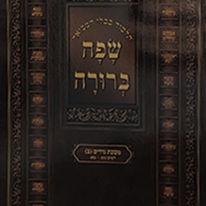 תלמוד-בבלי-המבואר-שפה-ברורה-שטוח