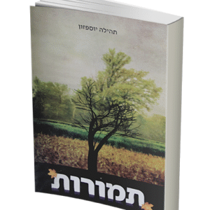 תמורות-הדמיה