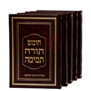 תמימה-הדמיה